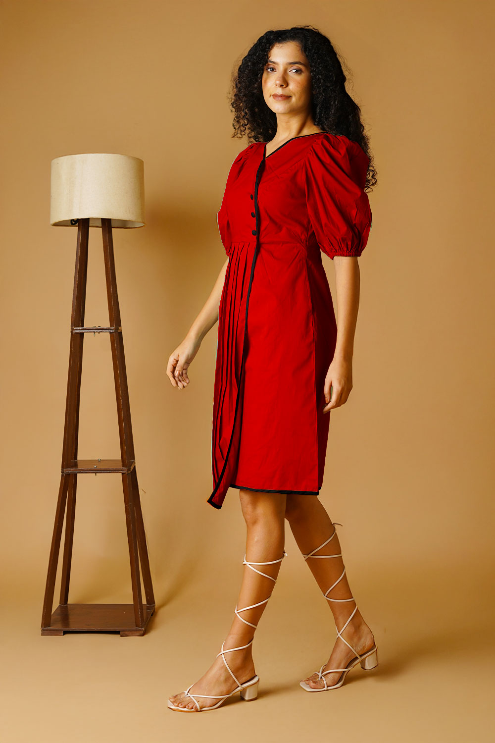 Rust Poplin Mini Dress