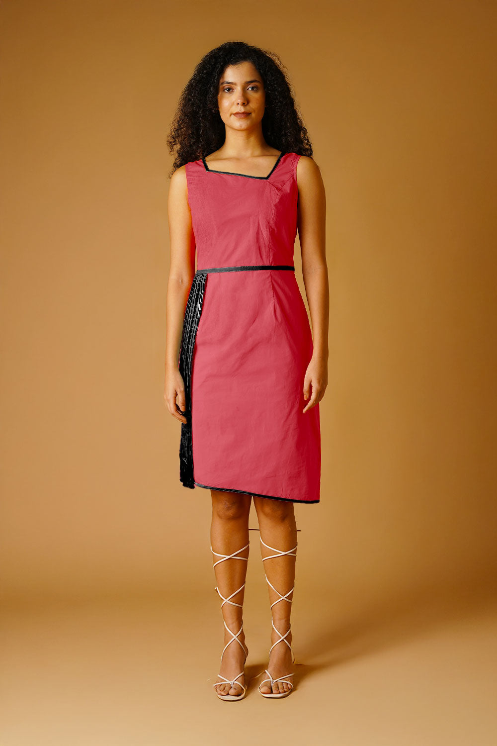 Pink Poplin Dress